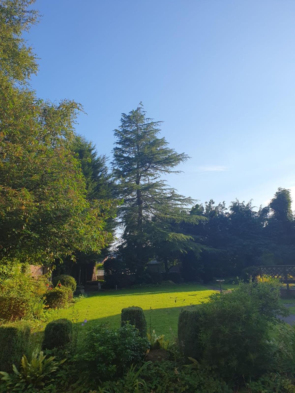 The Manor Guest House Cheadle  Buitenkant foto